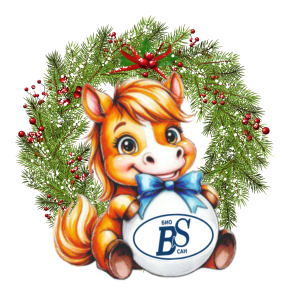 График работы в Новогодние праздники 2025/26г